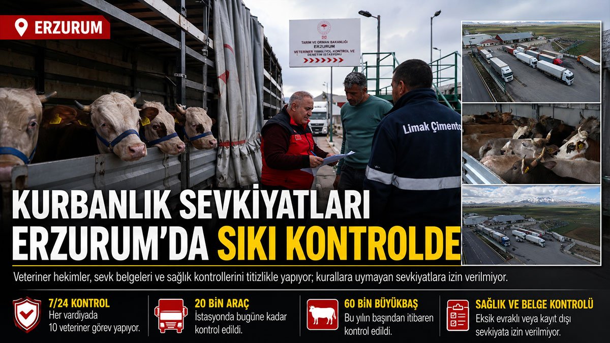 Erzurum'da kurbanlık sevkiyatında 7/24 denetim: Eksik evraka geçit yok