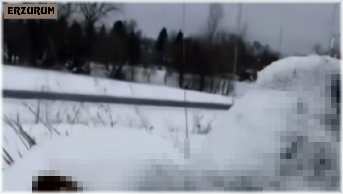Erzurum'da kurt ayakta dondu