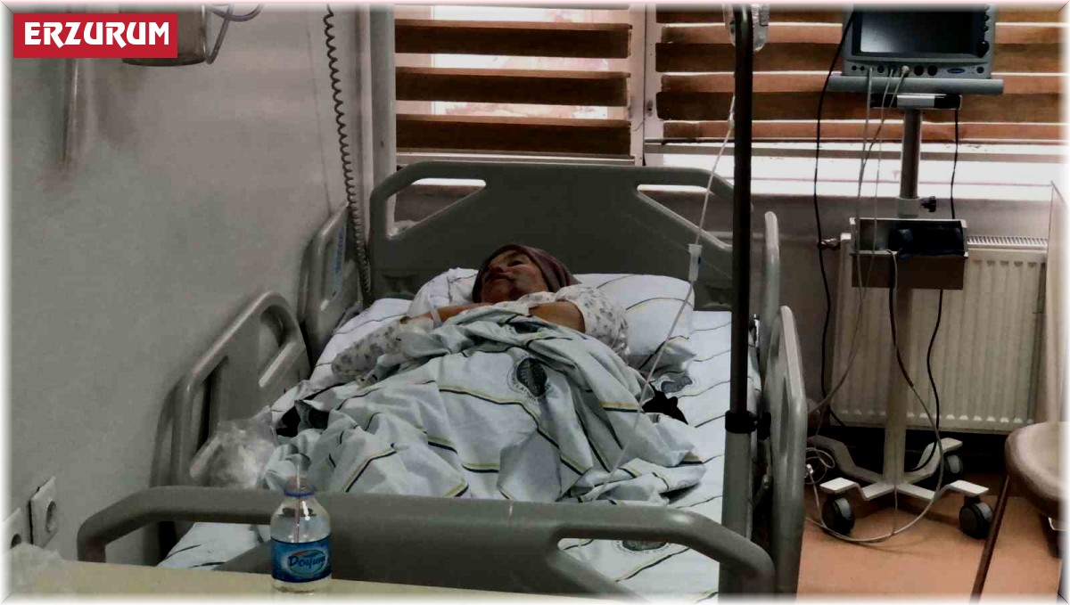 Erzurum'da kurt dehşeti: 5 yaralı