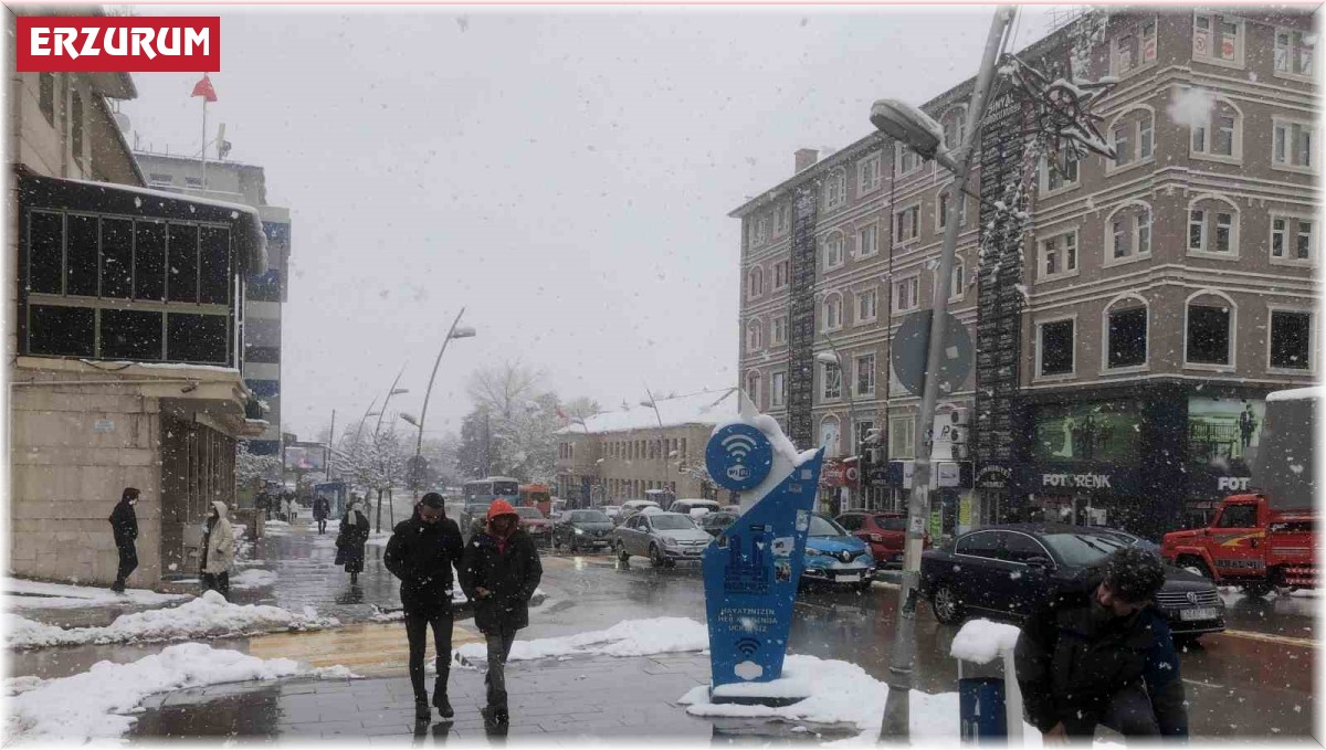 Erzurum'da mart sonunda lapa lapa kar yağdı