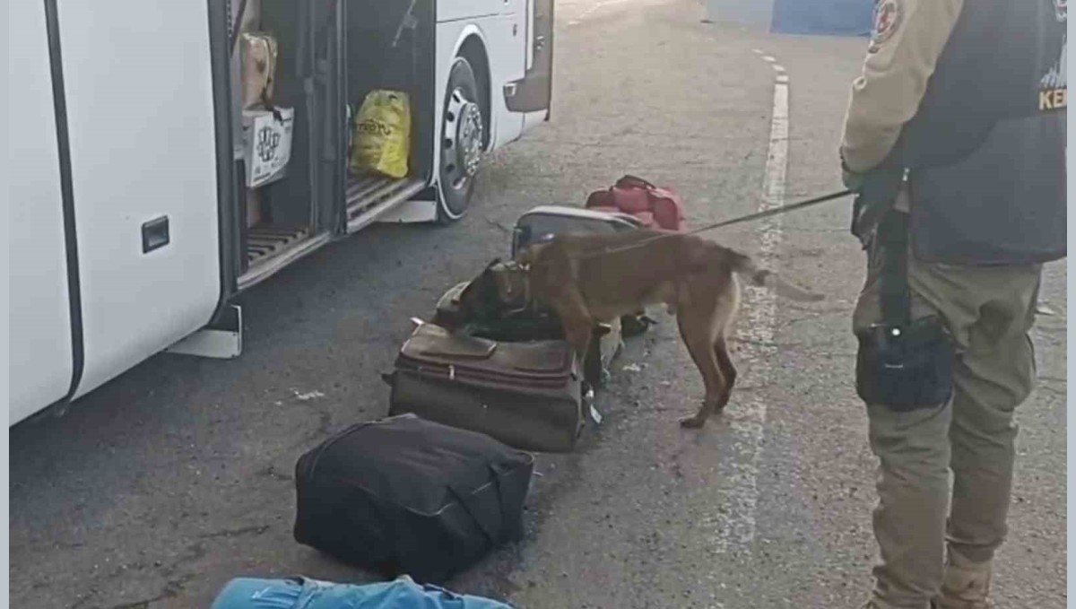 Erzurum'da narko operasyon