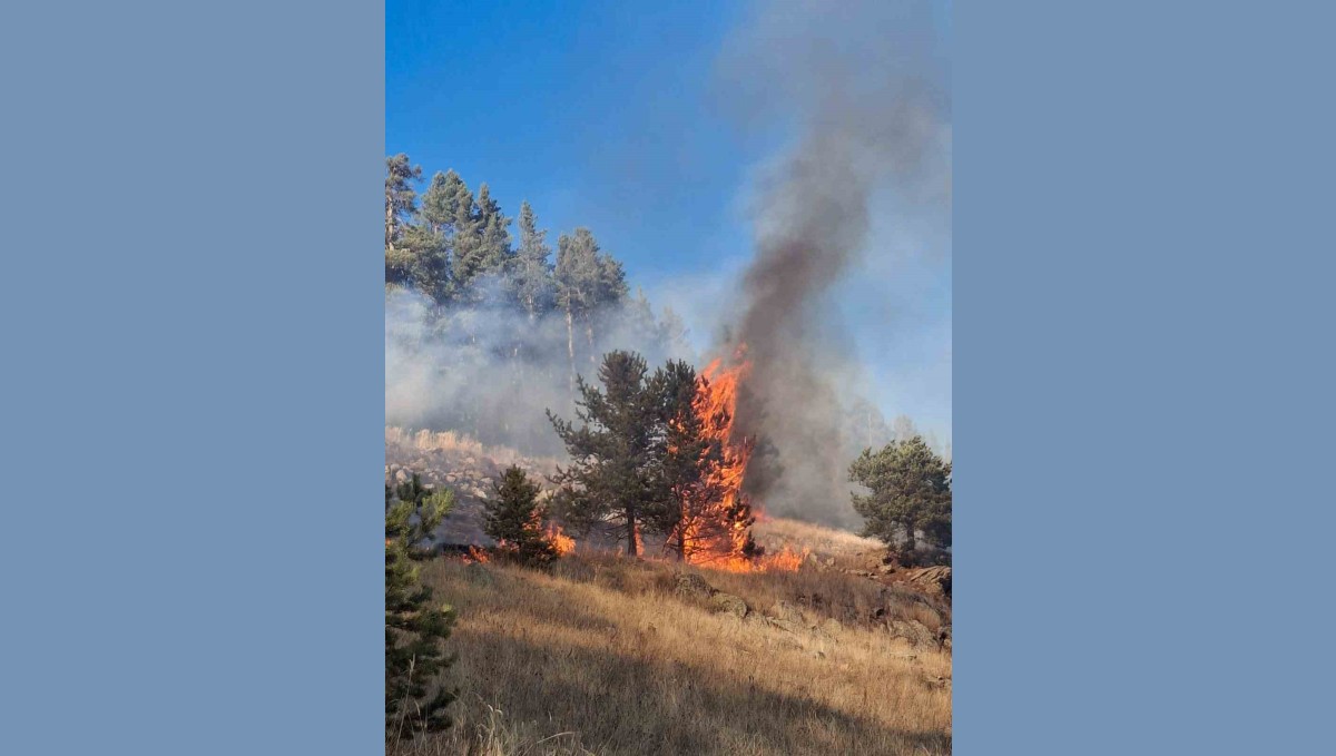 Erzurum'da orman yangını
