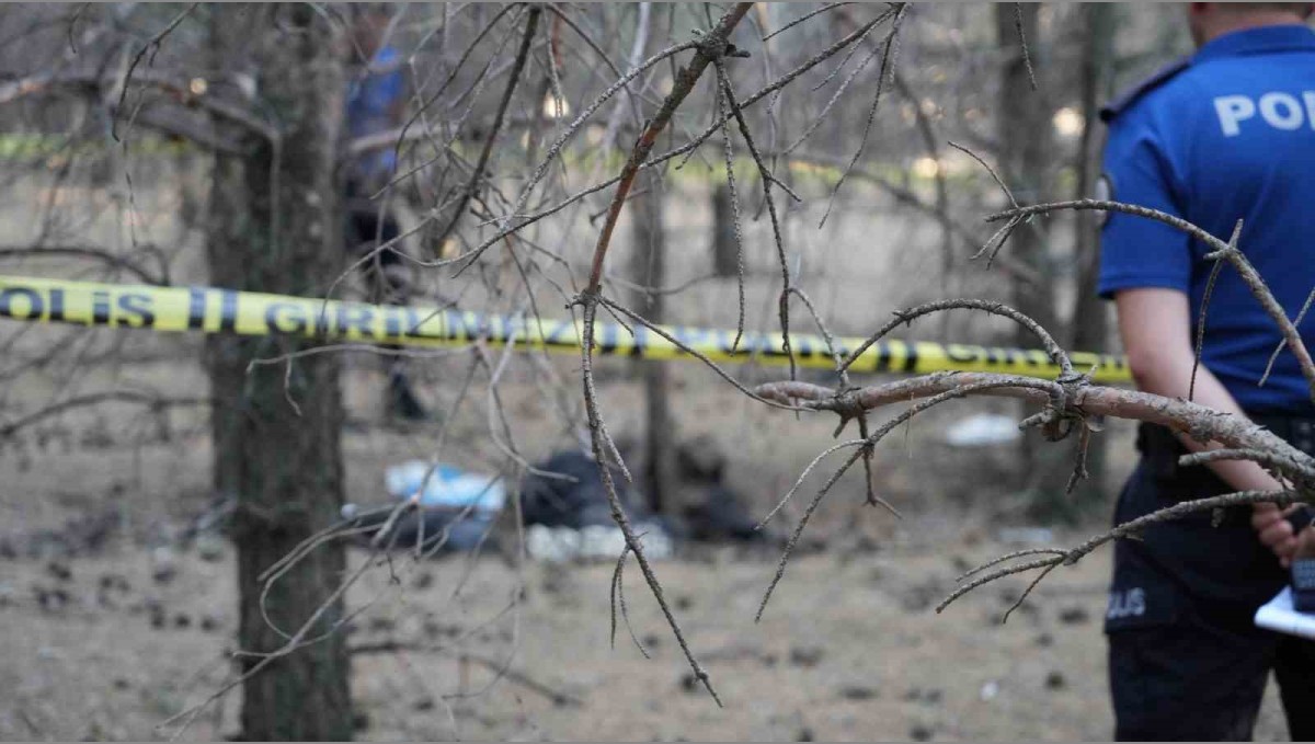 Erzurum'da ormanlık alanda erkek cesedi bulundu