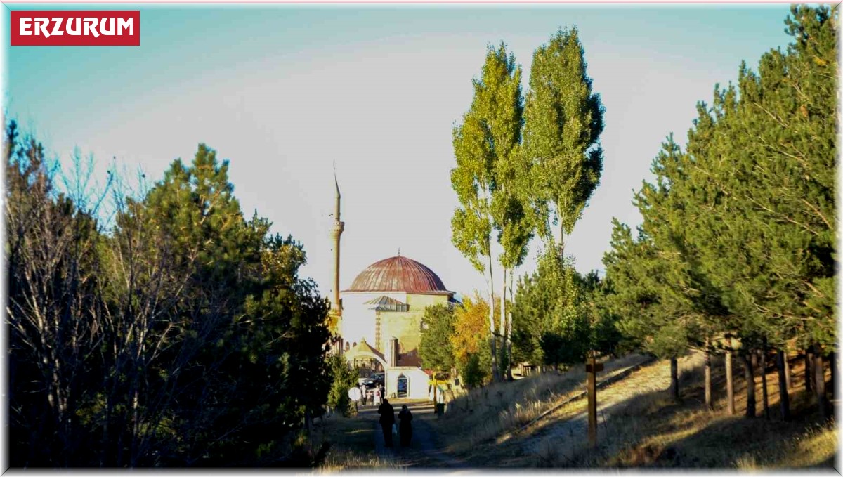Erzurum'da ormanlık alanlara girişler yasaklandı