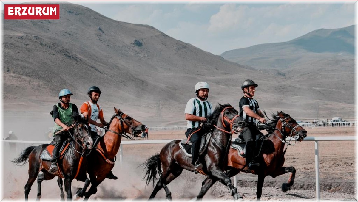Erzurum'da Rahvan at yarışları nefes kesecek