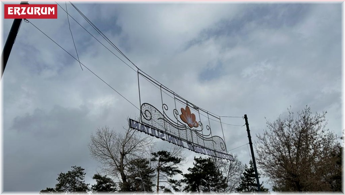 Erzurum'da rüzgâr ve fırtına etkili oluyor