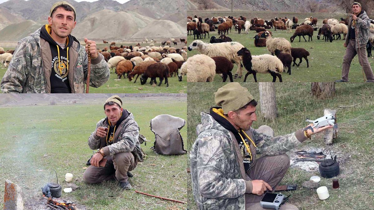 Erzurum'da saksağandan ilham alan çoban İsmail Akkaş, şimdi koyun sürüsünü drone ile yönetiyor