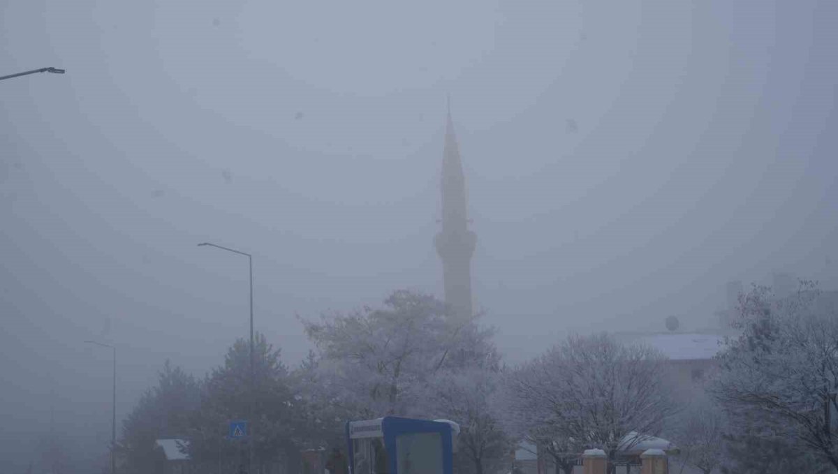 Erzurum'da sis ulaşımı aksattı