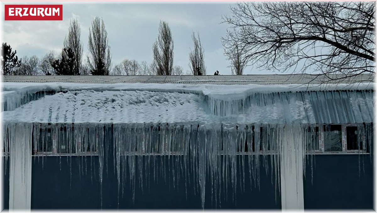 Erzurum'da soğuk hava nedeniyle oluşan buz sarkıtları tehlike arz ediyor
