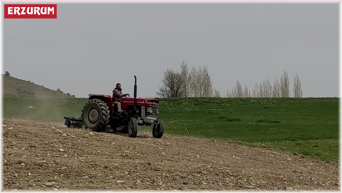 Erzurum'da tarım ve hayvancılık sezonu başladı