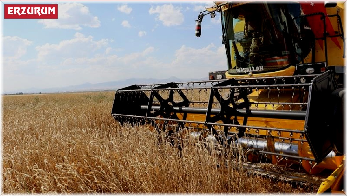 Erzurum'da tarıma tohum ve fide desteği