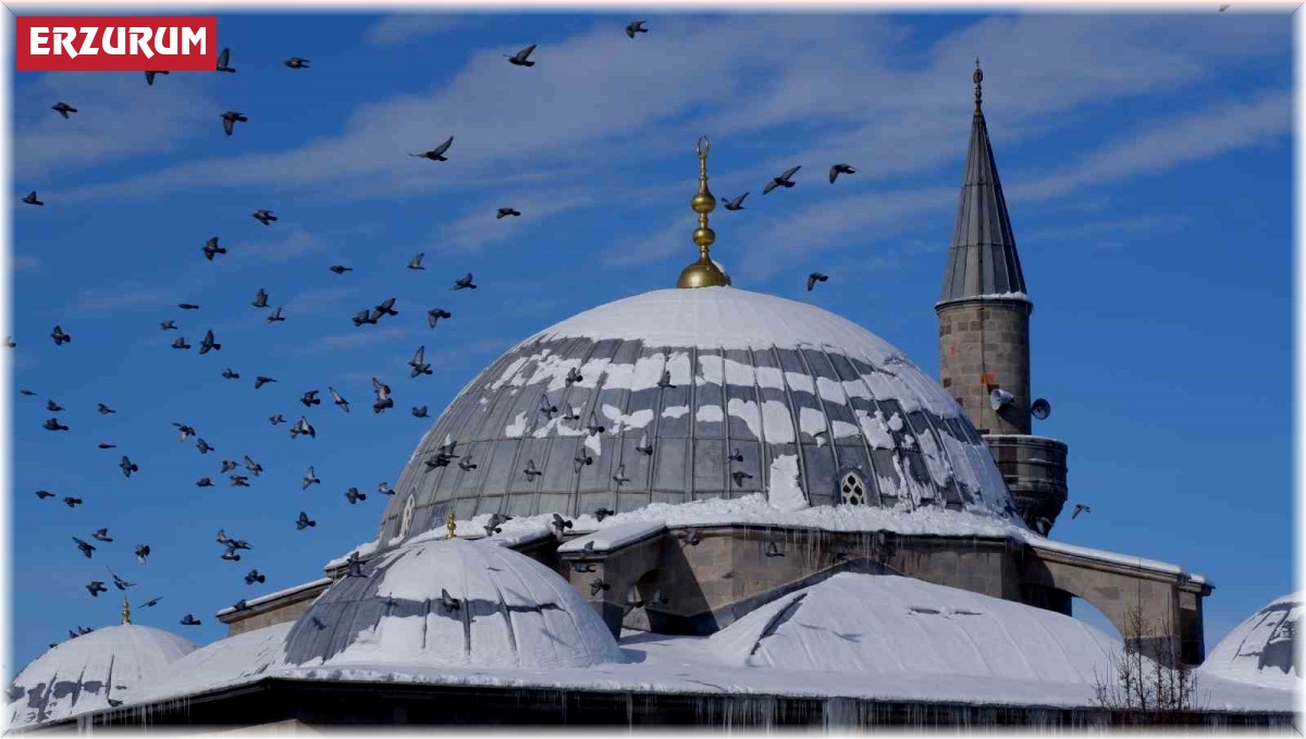 Erzurum'da termometreler -24,6'yı gösterdi