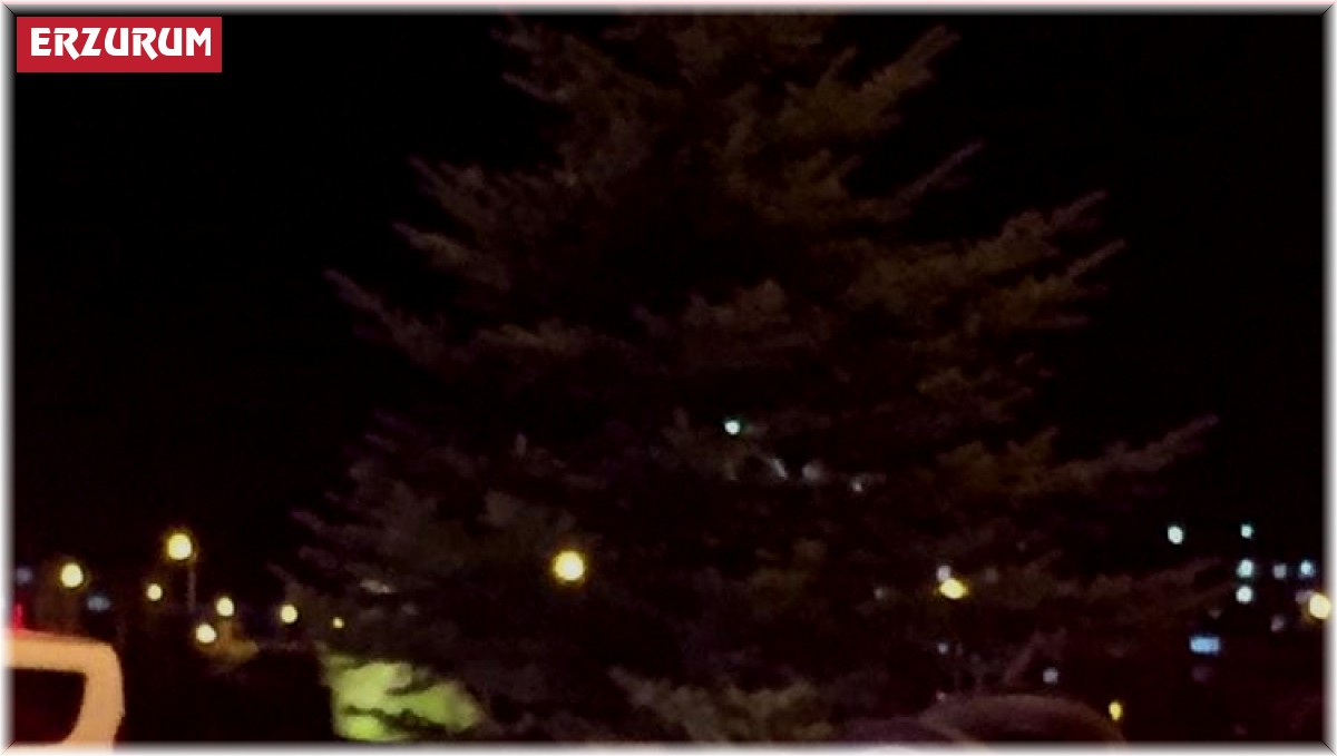 Erzurum'da trafik kazası: 3 yaralı