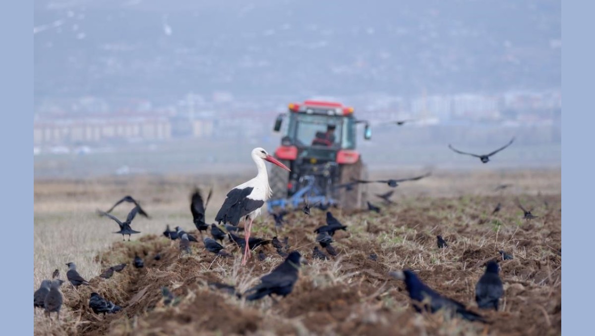 Erzurum'da traktör ve motosiklet sayısında artış var