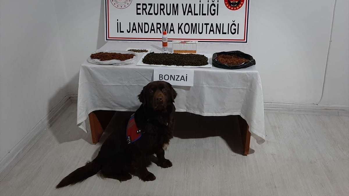 Erzurum'da uyuşturucu operasyonlarında yakalanan 3 zanlı tutuklandı