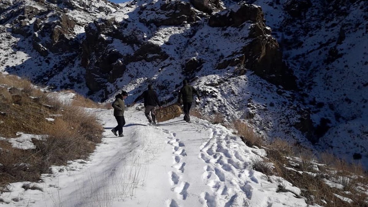 Erzurum'da yabani hayvanlar için yaşam alanlarına yem bırakıldı