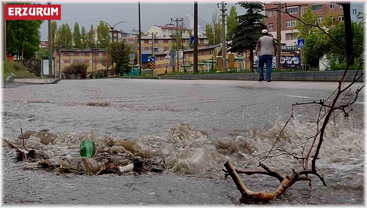 Erzurum'da yağmur etkili oldu