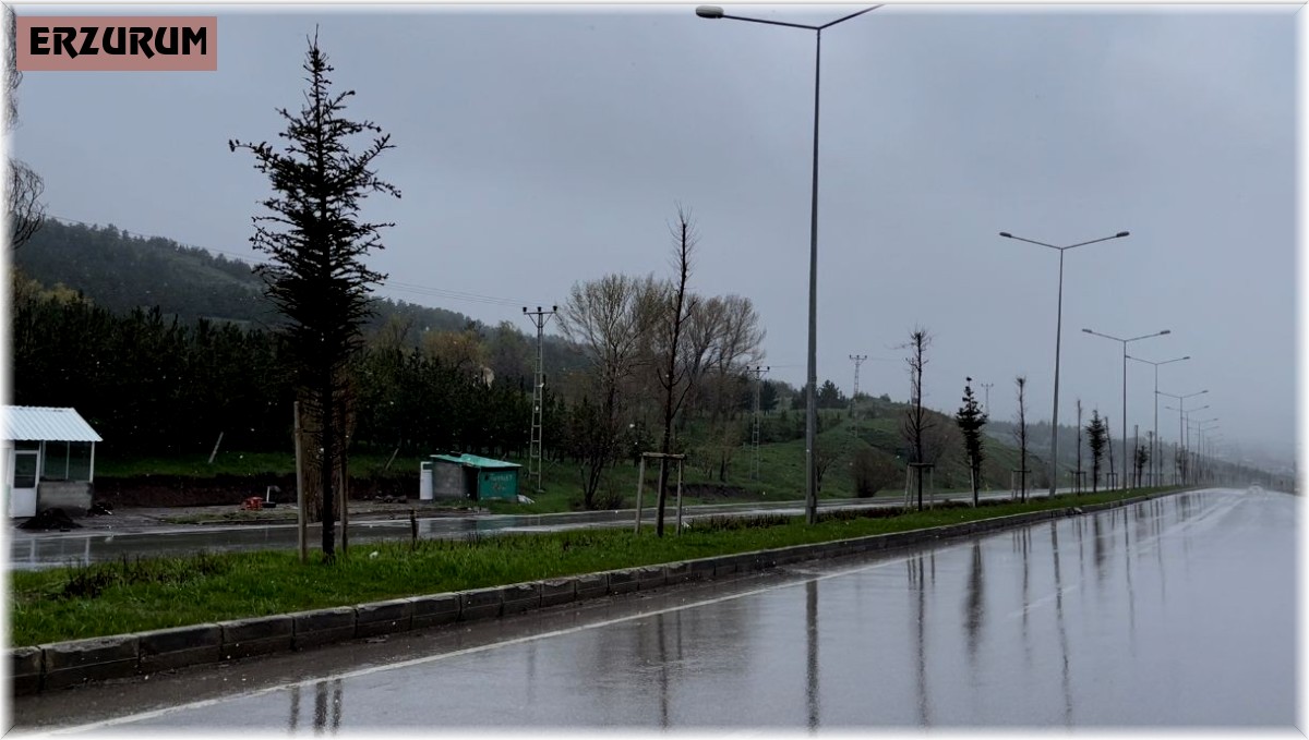 Erzurum'da yazın kar yağışı