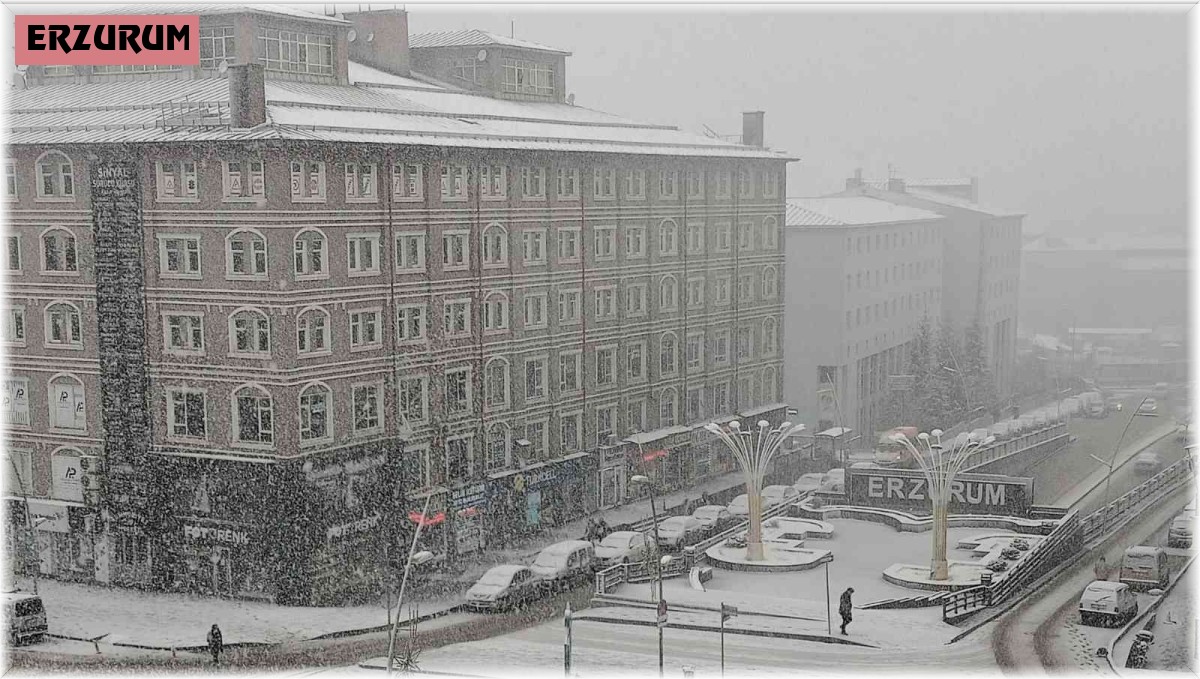 Erzurum'da yoğun kar yağışı etkili oluyor