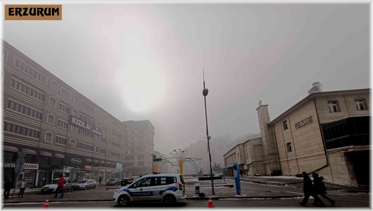 Erzurum'da yoğun sis görüş mesafesini düşürdü, ağaçlar kırağı tuttu