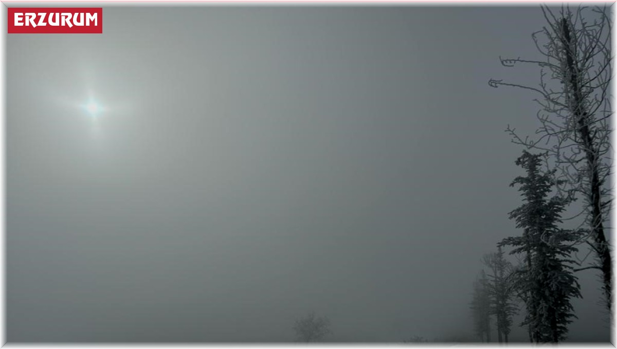 Erzurum'da yoğun sisten göz gözü görmedi