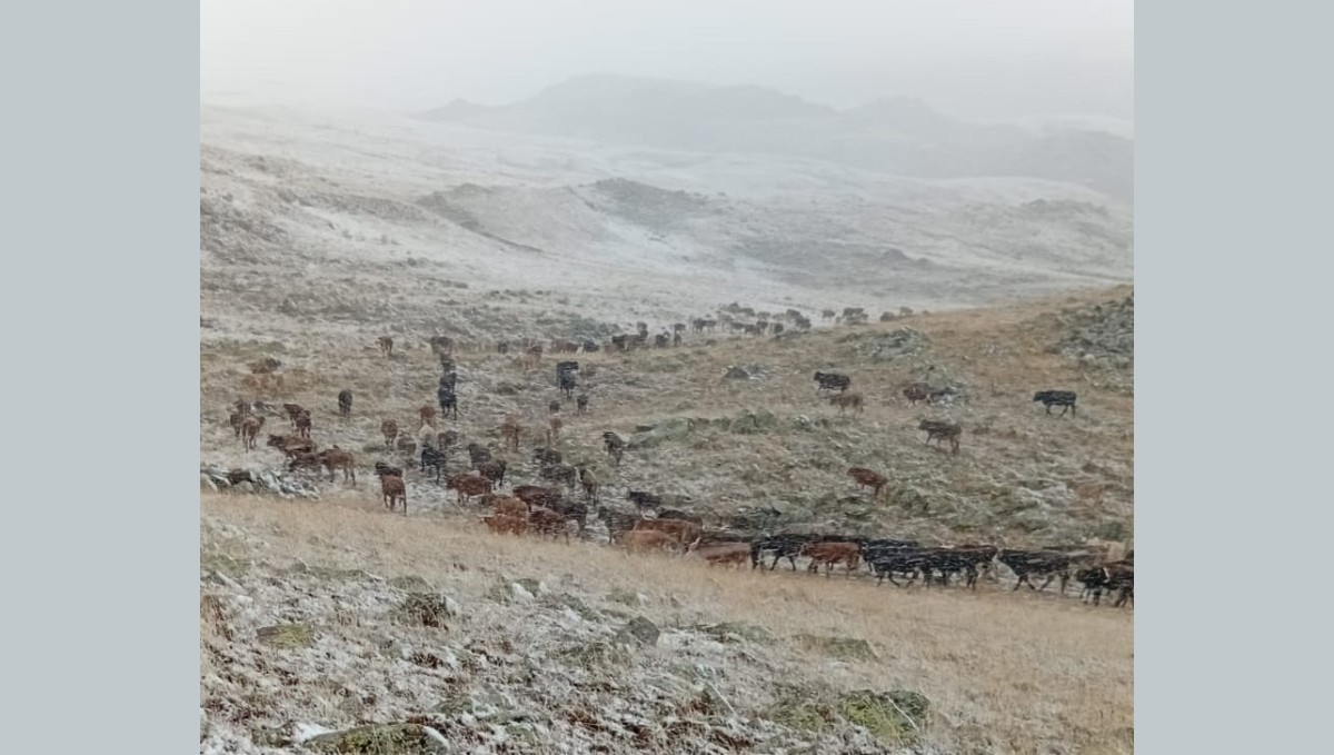 Erzurum'da yüksek kesimlere kar yağdı
