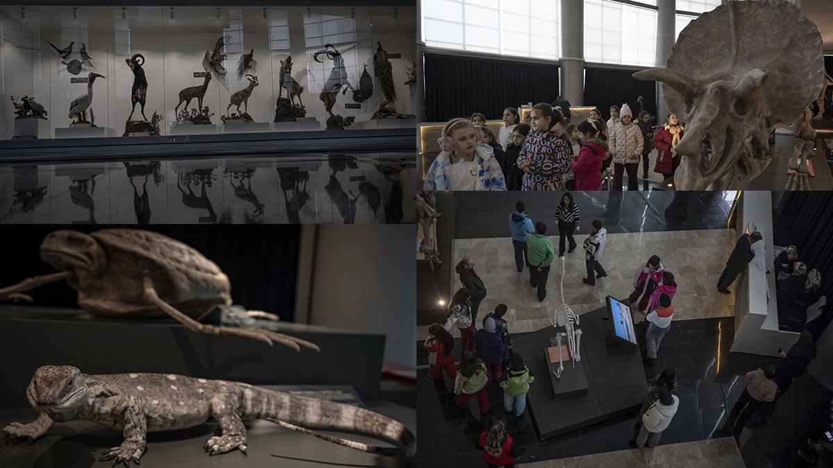 Erzurum'daki Biyoçeşitlilik Bilim Müzesi, 250 Bin Örnek ve 10 Bin Türlük Koleksiyonuyla İlgi Görüyor