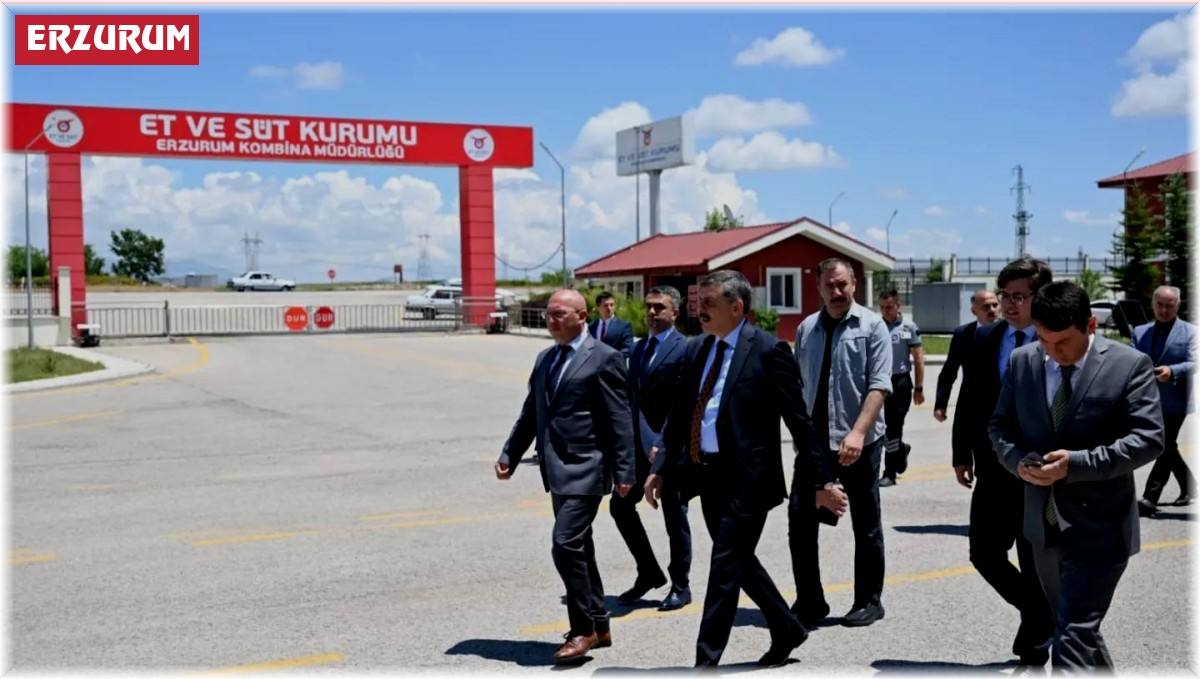 Erzurum ETB yıllık 2 bin ton kırmızı et üretiyor