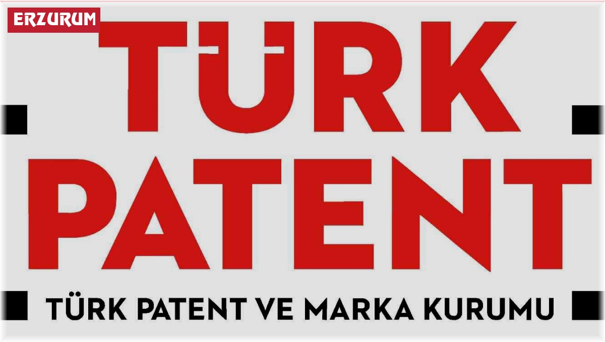 Erzurum faydalı modelde 11'inci sırada