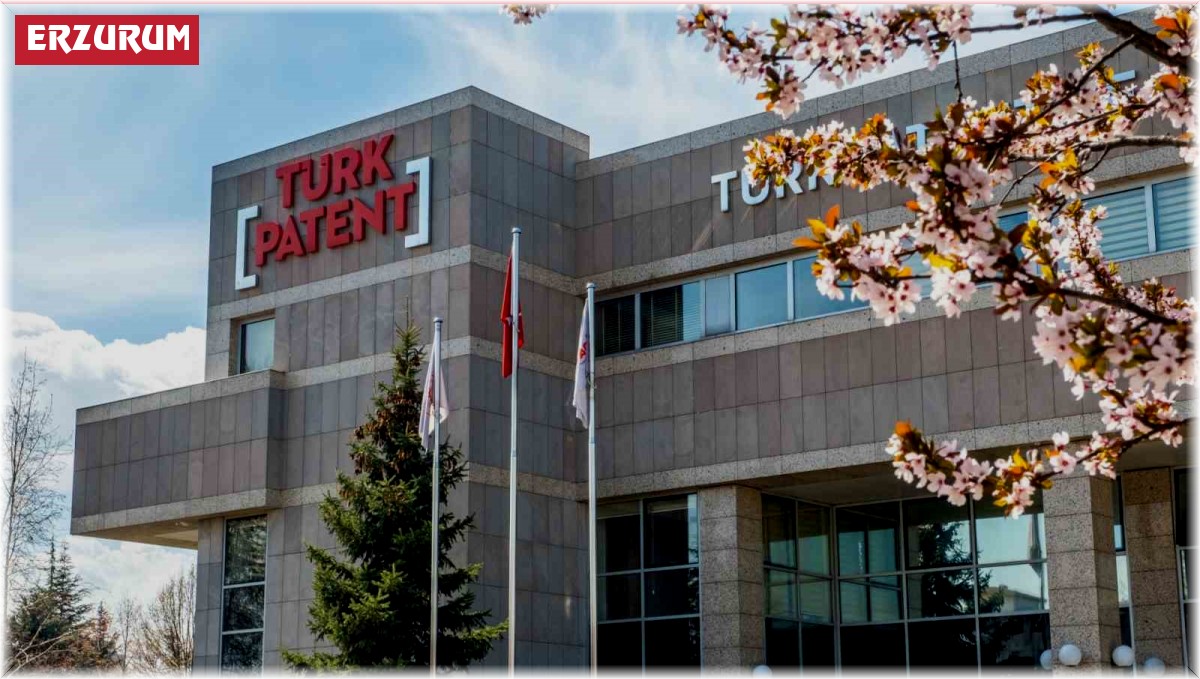 Erzurum faydalı modelde ilk 10 il içinde