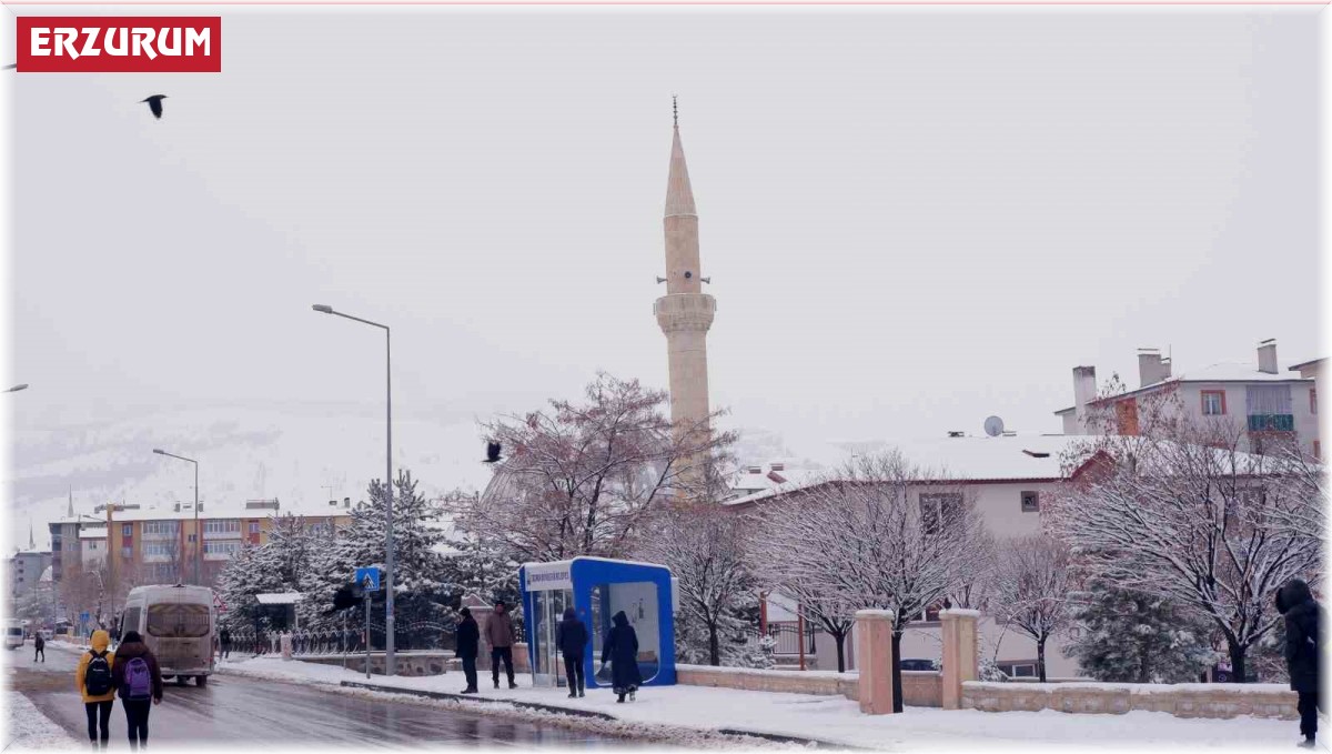 Erzurum güne karla uyandı