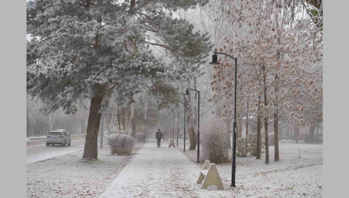 Erzurum güne sis ve kırağı ile uyandı
