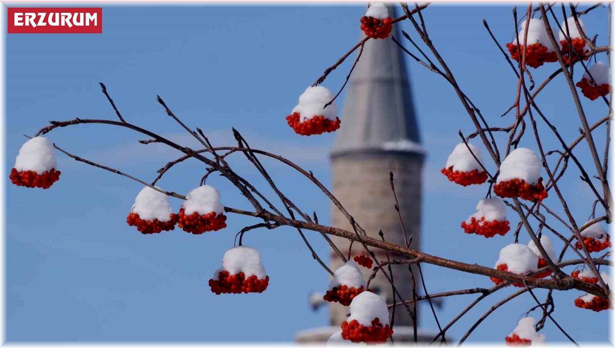 Erzurum hafta sonuna kadar kar yağışı bekleniyor