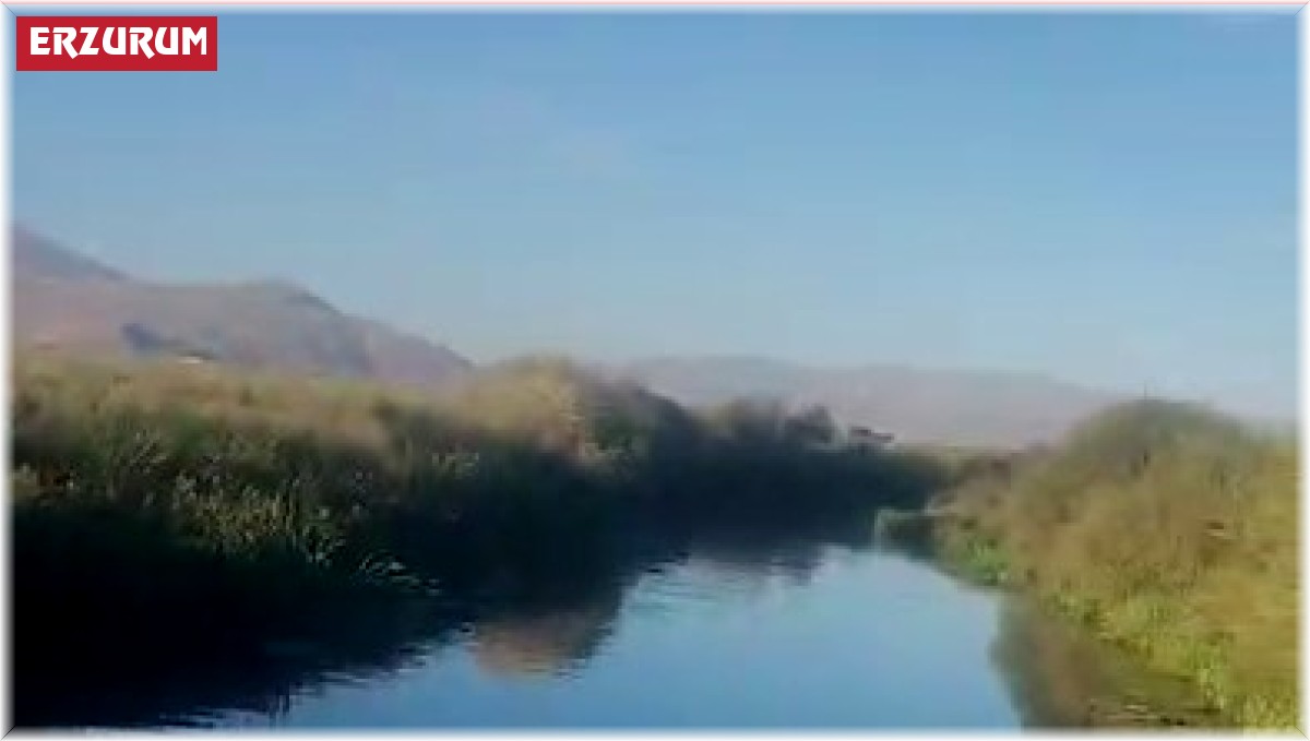 Erzurum itfaiyesinden inek kurtarma operasyonu