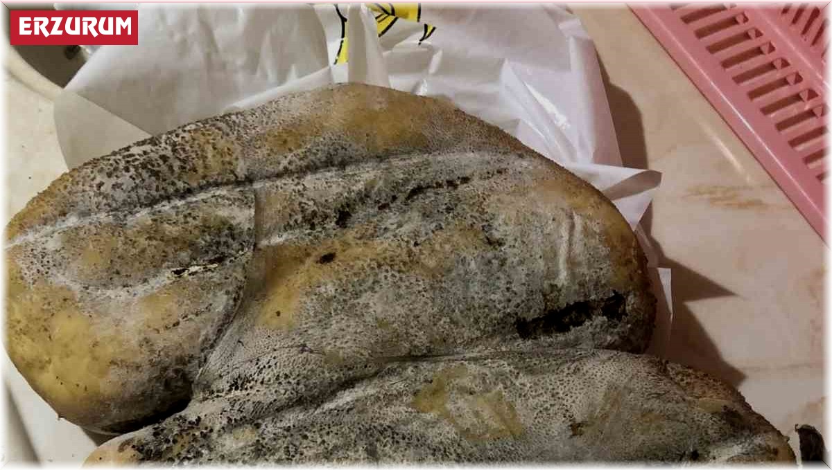 Erzurum Karın Kaymağı Peyniri coğrafi işaret yolunda