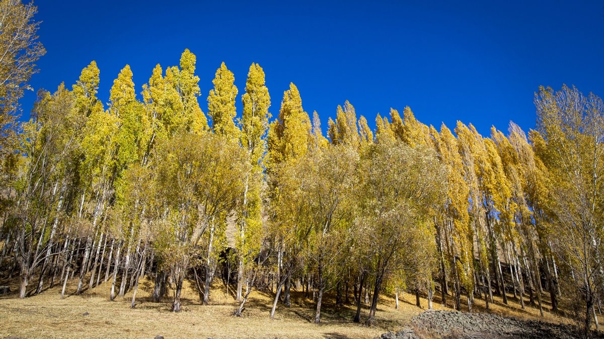 Erzurum kırsalındaki mahallerde sonbahar renkleri hakim oldu