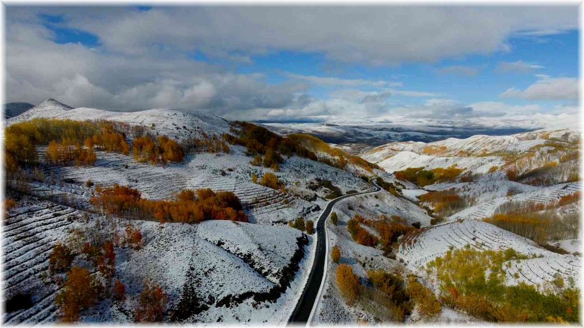 Erzurum ormanlarında kış ve sonbaharın renkleri görsel şölen yaşattı
