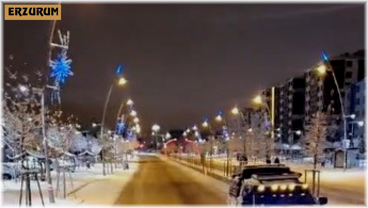 Erzurum sokaklarında inanılmaz macera