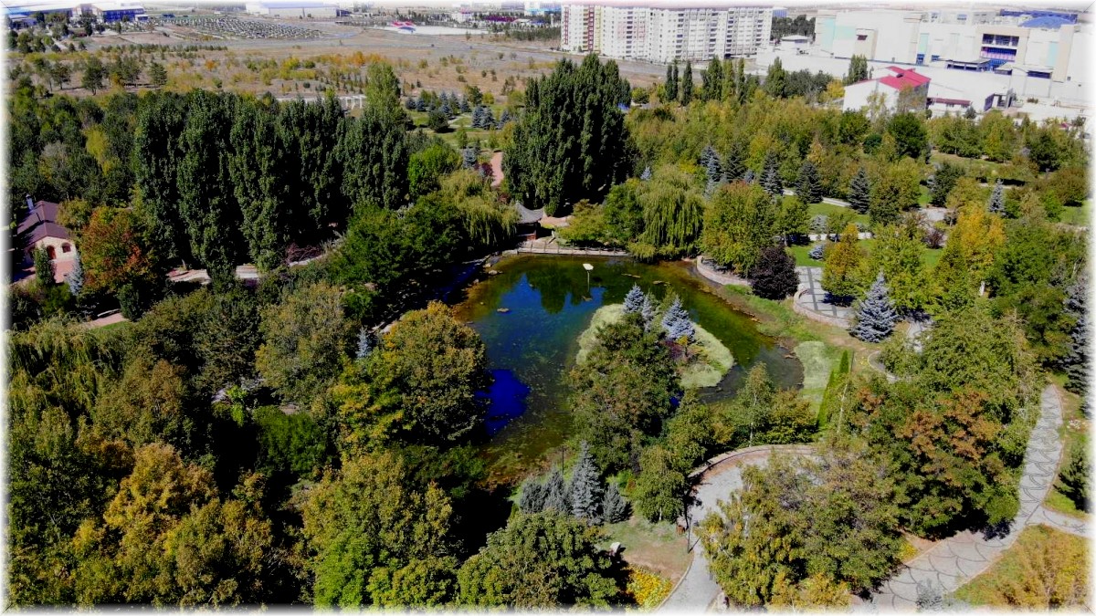 Erzurum sonbaharın renklerine büründü