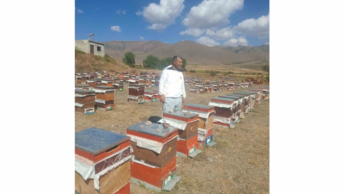 Erzurum'un Çat ilçesinde arıcıların ayı nöbeti