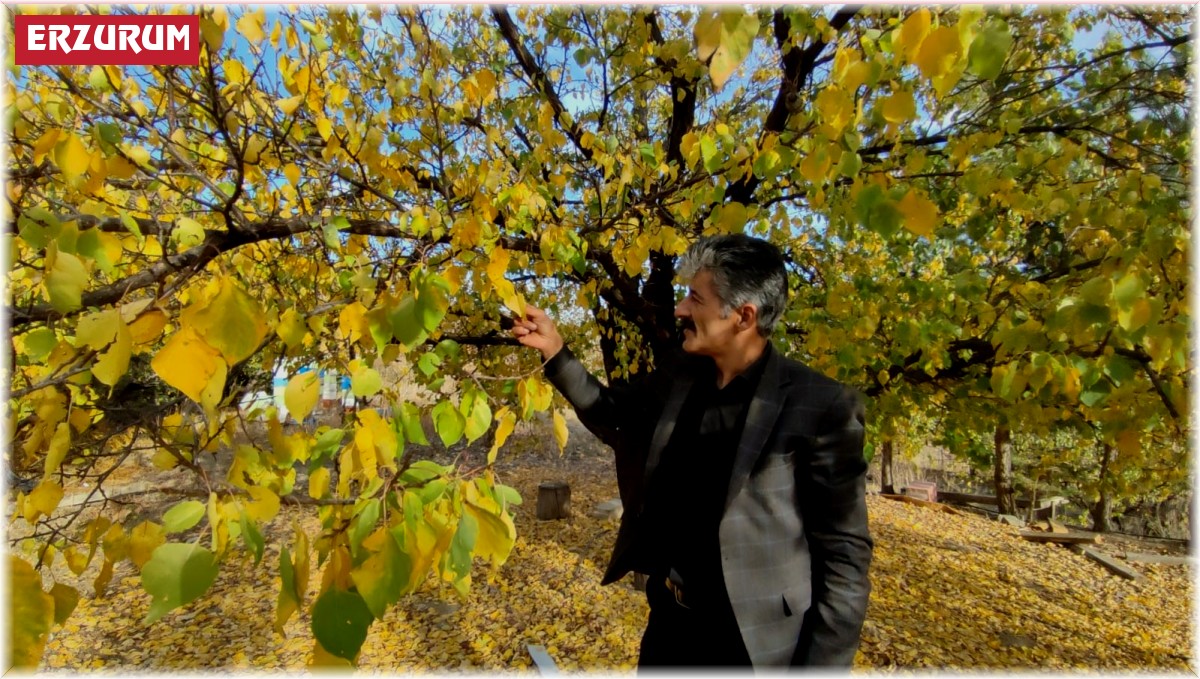 Erzurum'un Oltu ilçesinden vefa hikayesi