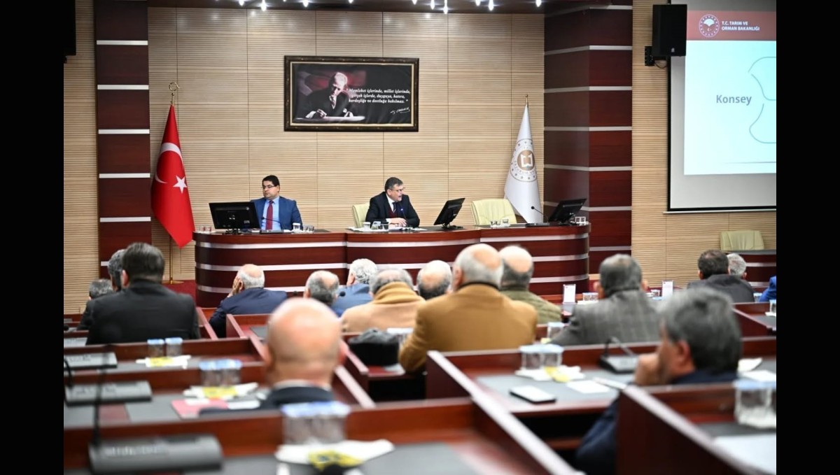 Erzurum'un topraklarının yüzde 60'ı mera