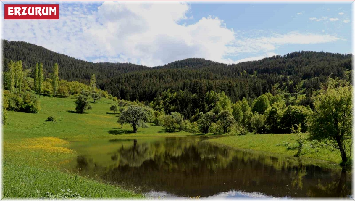 Erzurum'un yaylalarında bahar esintisi