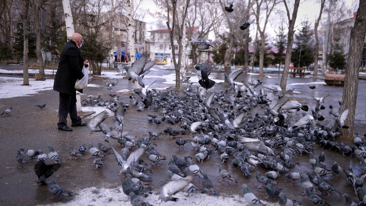 Erzurum ve Erzincan'da kuvvetli rüzgar bekleniyor