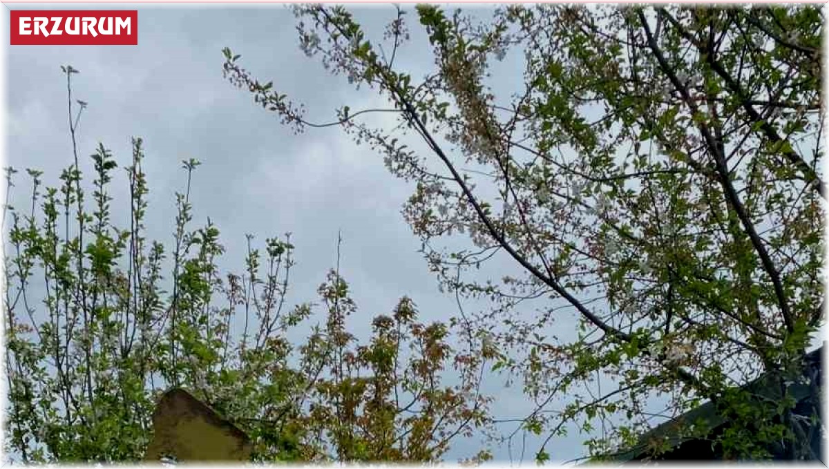 Erzurum yemeklerinin gönüllü elçisi