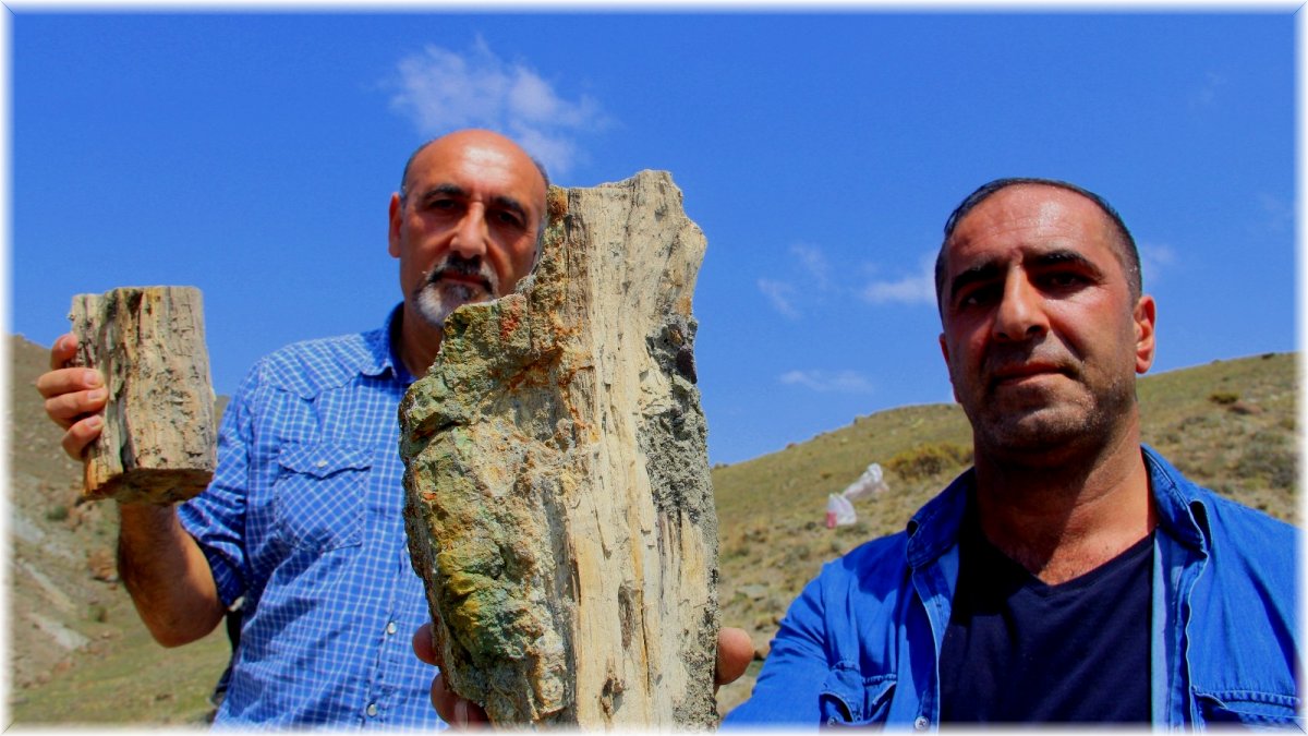 Erzurum’da 160 milyon yıllık keşif