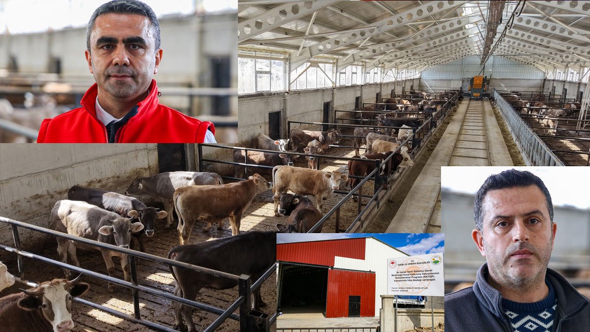 Erzurum’da devlet hibesiyle kurulan modern ahırlar besicilikte verimi artırıyor