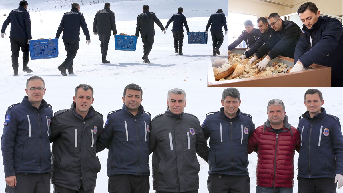 Erzurum’da infaz koruma memurları, karlı arazilerde yaban hayvanlarını besliyor