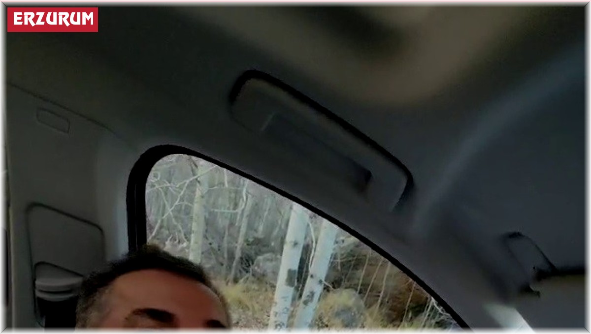 Erzurumlu esnafın ayılarla güldüren diyaloğu