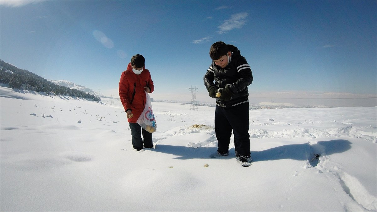 Erzurumlu minik kardeşler, zorlu kış şartlarında yabani hayvanlar için atık ekmek topluyor